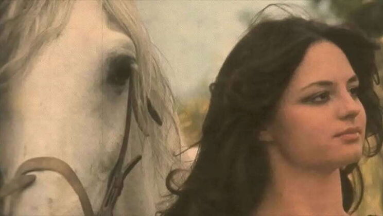 Dark Lantern's 'Hairy Women & Beasts' - A Zoological Delight