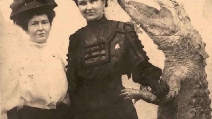 Hairy Victorian English Gentleman Bareback Fuck with Pet Cow