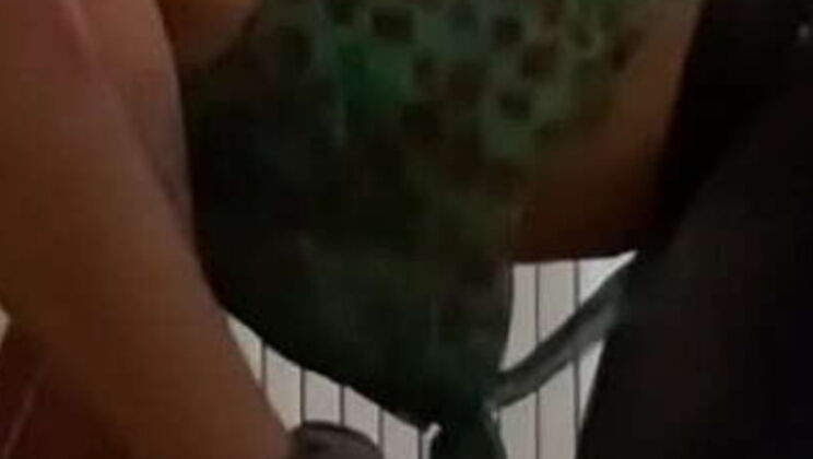 Indian MILF Wife Dominated by Big Cock in Vintage Scene