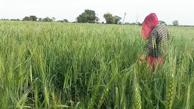 Desi Indian Girl First Time Tight Video - Beautiful Desi Bhabhi Outdoor Sex