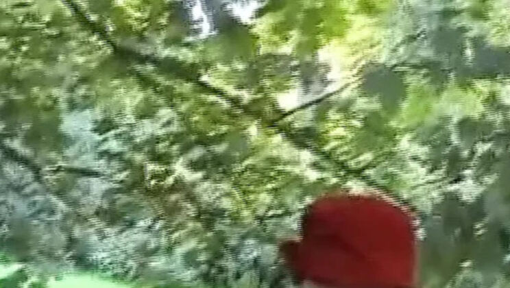 Hot German teens play with pussies in the park - amateur lesbian fun