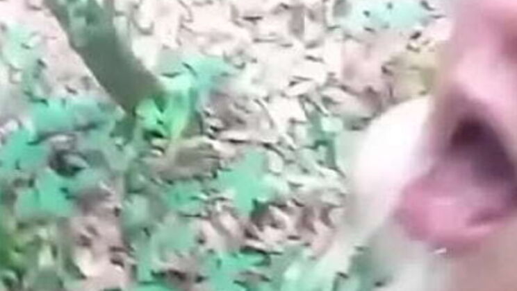 Amateur Teen Gets Balls Deep Face Fuck - Sloppy Deepthroat & Gagging