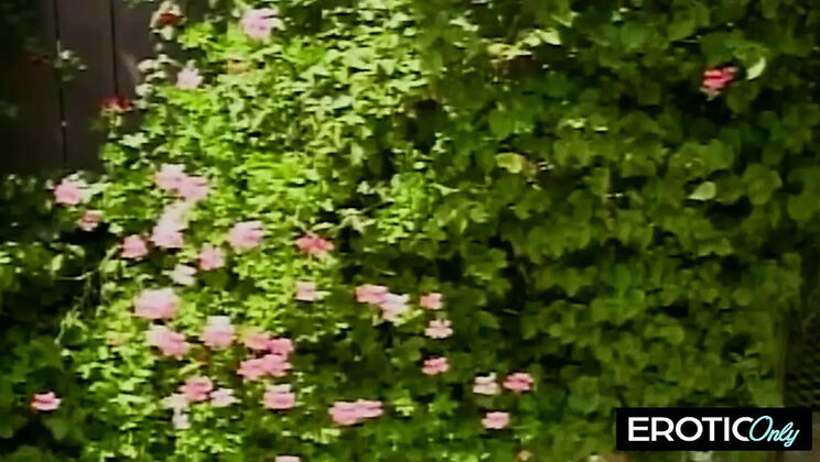 Big Tits MILF Ass Up Face Down Screaming for Daddy - Chris Cannon Hardcore