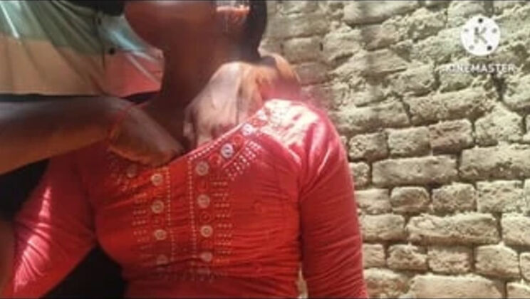 Desi Stepsister Hardcore Fuck with Hindi Audio - Indian Stepbrother Anal Sex