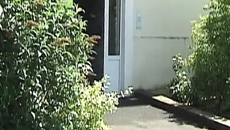 French brunette amateur gets anal and facial in hardcore fuck