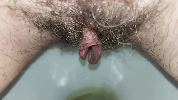 Hairy Housewife GinnaGg Pissing Close Up Toilet Pee Play