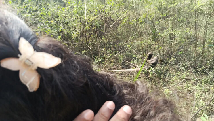 Step Brother Fucks Hot Indian Maid Laxi Ammu in Jungle Fantasy 4K