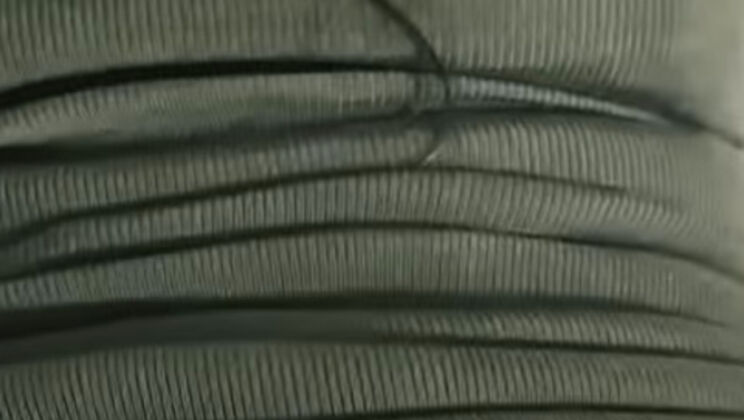 Roxy Martinez My Wife On All Fours Wants Another Cock - Latina Perfect Ass Curvy Body