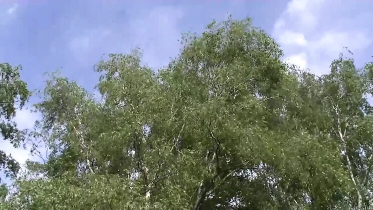 German MILF seduces guy with huge cock for outdoor barn fuck and blowjob