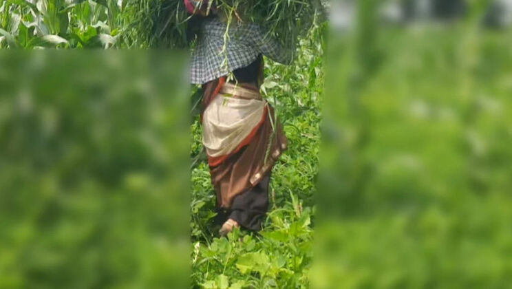 Desi Bhabhi Outdoor Fuck with Devar in Jungle - Sukunmi & Dewaif Public Sex