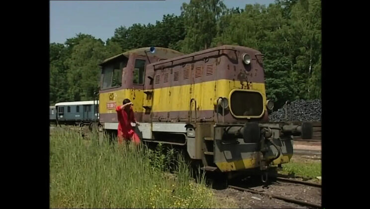 Double Blowjob Facial Cumshot with Big Ass Chubby Girl