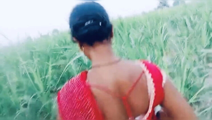 Hot Bhabhi Fucked in Village Field in Doggy Style